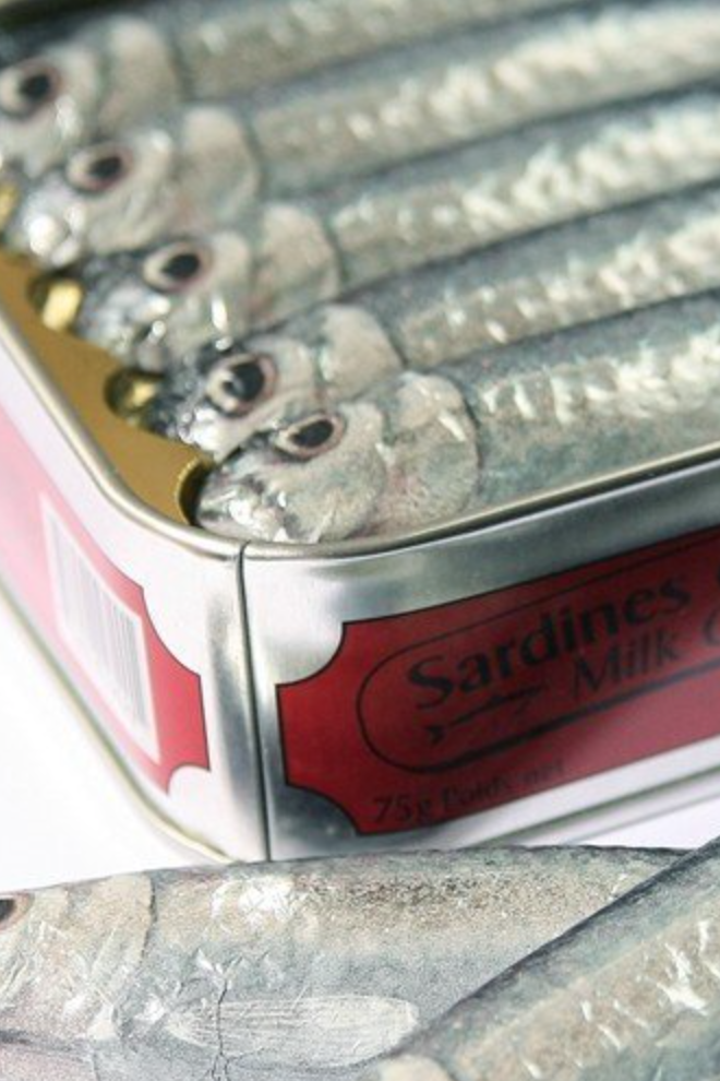 Chocolate Sardines in Tin, Set of 5