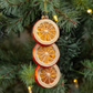 6" Orange Slice Ornament