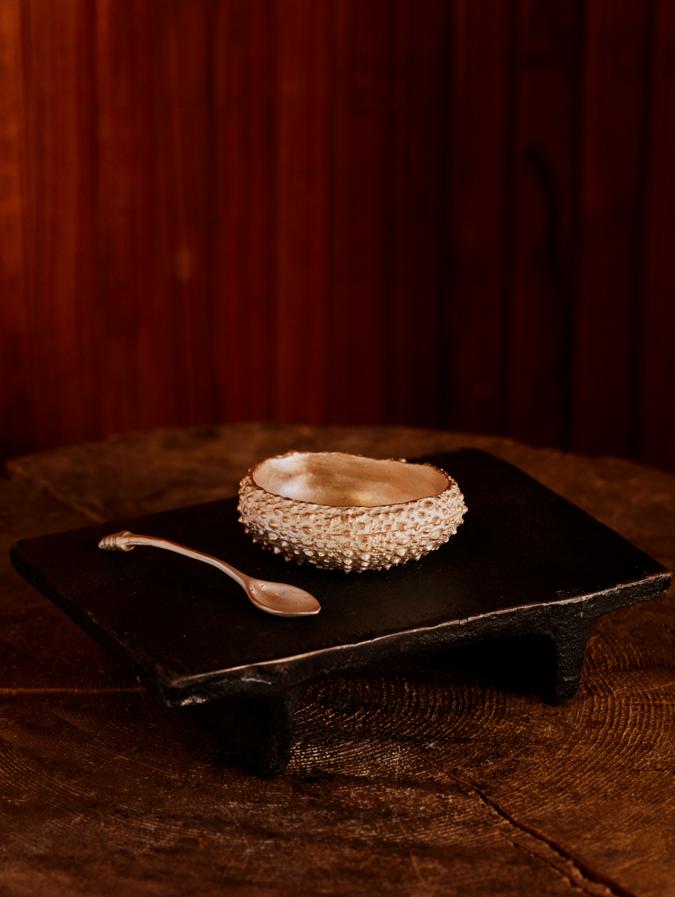 Sea Urchin Salt Dish