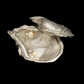 Oyster with Pearls Box, Silver