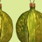 Carambola Star Fruit Ornament