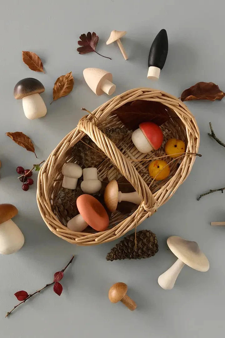 Moon Picnic - Forest Mushrooms Basket